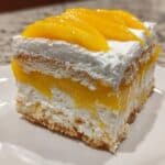 Carlota de Mango Sin Horno